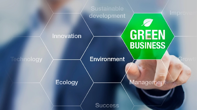 The Worry of Greenwashing: How Easy is it to Avoid?