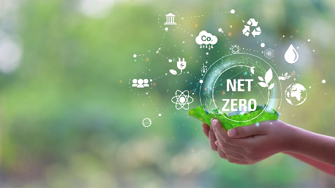 Prepping For Net Zero: How Your SME Can Create A Net Zero Strategy