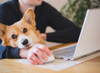 Should Pet Policies be Revised at Work?